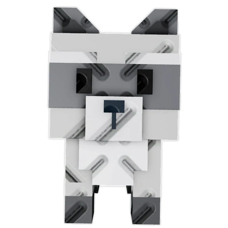 RACCOON