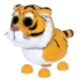 🐯LUNAR TIGER🐯