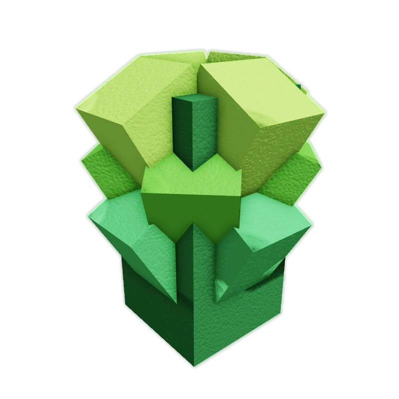 ROMANESCO SEED