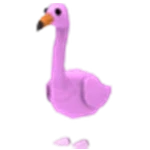 🦩FR FLAMINGO🦩