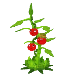 🍅SEMENTE TOMATRIO🍅