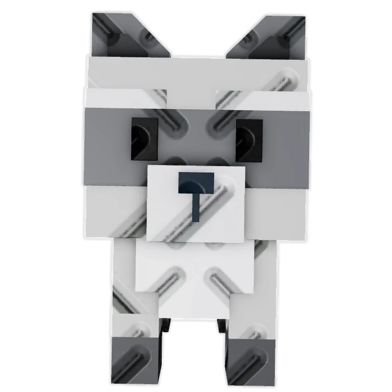 RACCOON