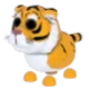 🐯LUNAR TIGER🐯