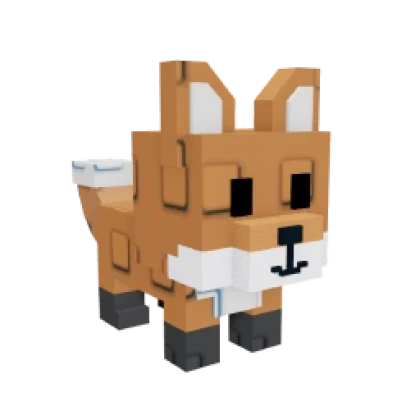 🐱PET AGE 75🐱(PET COM 75 ANOS ALEATORIO)