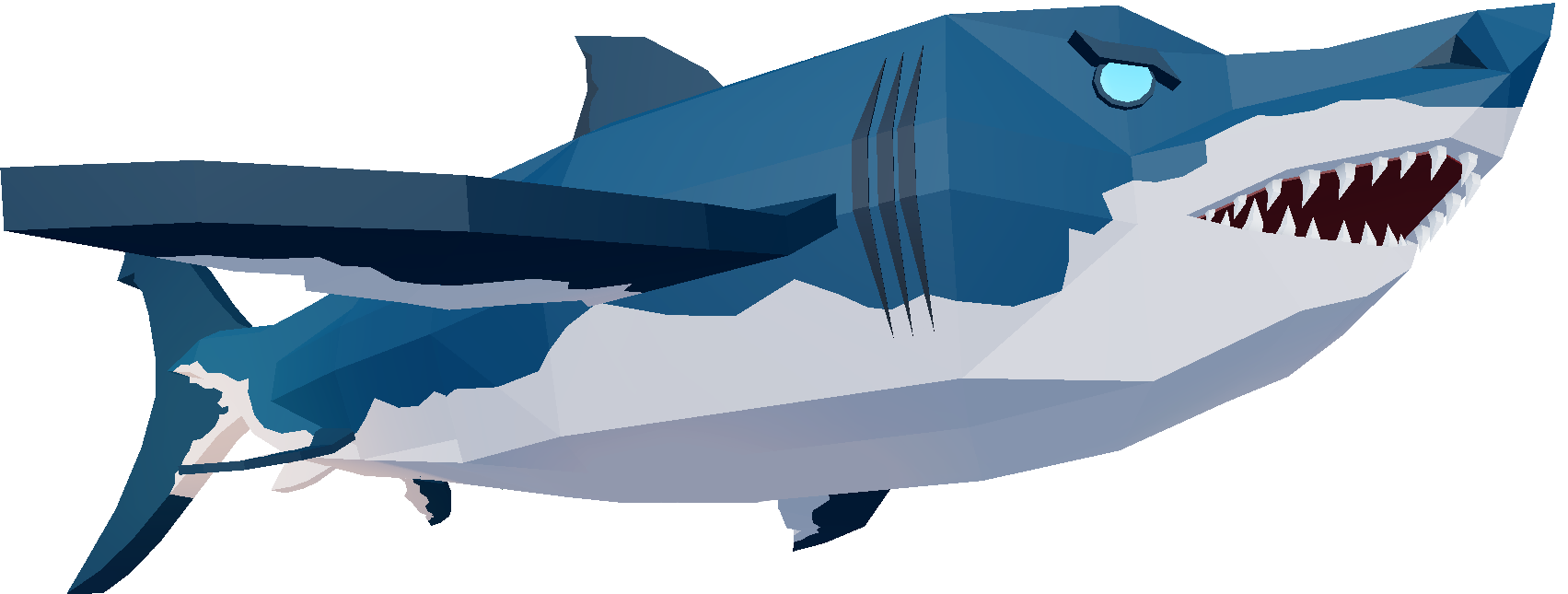 🦈RANDOM MEGALODON🦈